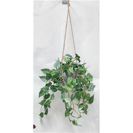 CL ARTIFICIAL HANGING VINE ANTHURIUM LEAF GP723 33CM
