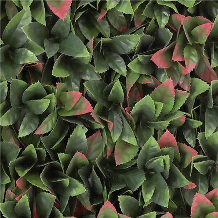 EXPANDING TRELLIS SPRING PHOTIN 200X100CM [EXCLUSIVE FROM HOMEPRO THAILAND]