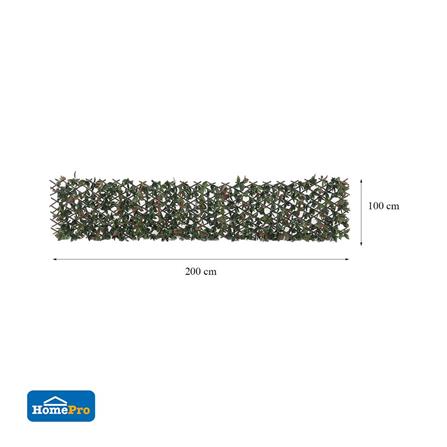 EXPANDING TRELLIS SPRING PHOTIN 200X100CM [EXCLUSIVE FROM HOMEPRO THAILAND]