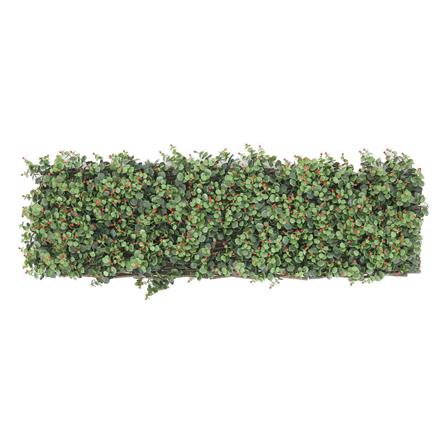 EXPANDING TRELLIS ME LIVING EUCA 200X100CM [EXCLUSIVE FROM HOMEPRO THAILAND]