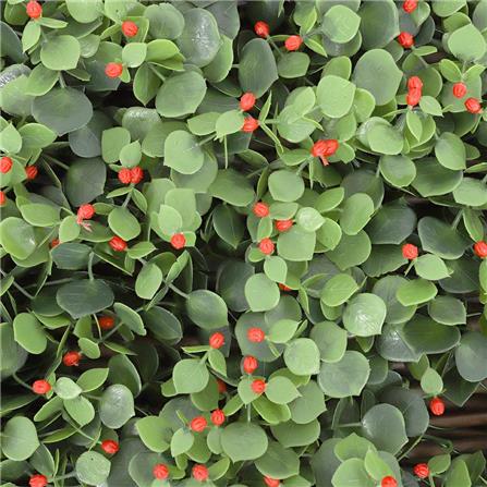 EXPANDING TRELLIS ME LIVING EUCA 200X100CM [EXCLUSIVE FROM HOMEPRO THAILAND]