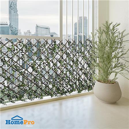 EXPANDING TRELLIS ME LIVING EUCA 200X100CM [EXCLUSIVE FROM HOMEPRO THAILAND]