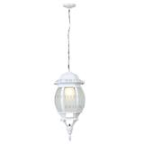 BRIGHT OBJECTIVES PENDANT OUTDOOR LAMP 8804/P 900MM E27 WHITE