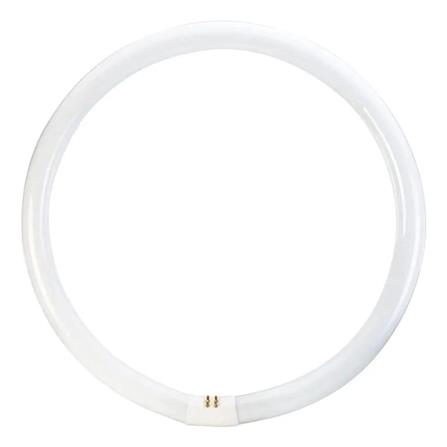 MINLITE 40W T9 FLUORESCENT CIRCULAR TUBE DAYLIGHT 6500K