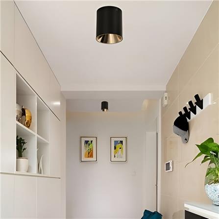 PRE-ORDER BRIGHT OBJECTIVES SURFACE EYEBALL B301 GU10 BLACK ROSE GOLD