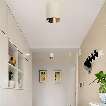 PRE-ORDER BRIGHT OBJECTIVES SURFACE EYEBALL B301 GU10 WHITE ROSE GOLD