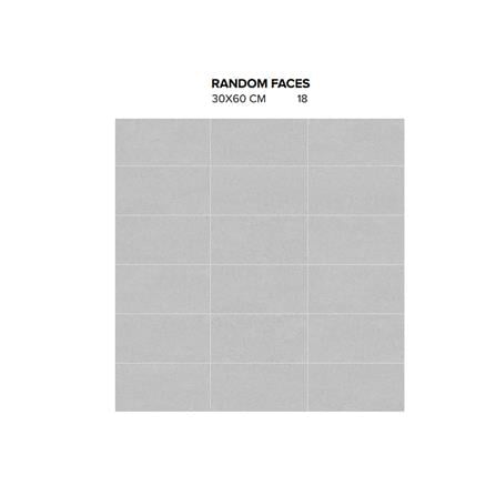 GUOCERA FLOORTILE 30X60CM P-ARTECH SFR331B SILVER 1.44M2