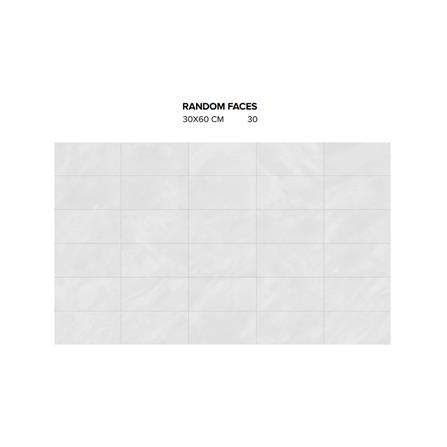 GUOCERA FLOORTILE 30X60CM P-ARDESIA SR5085A BONE 1.44M2