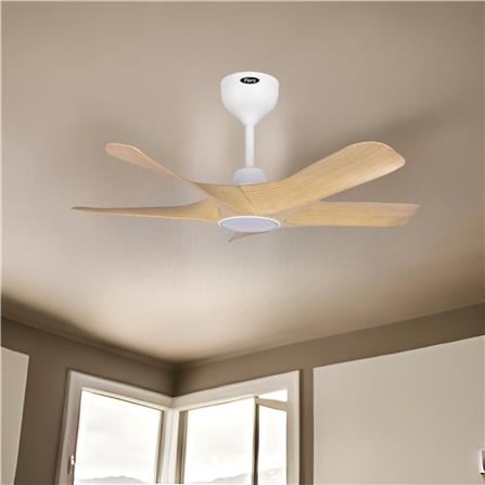 FIERO CEILING FAN ALVIA LED 5BLADE 56 INCH PINE WOOD