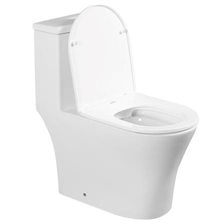 AKRON 1P TOILET WCO-80101 RIMLESS 10&rdquo; S-TRAP WHITE