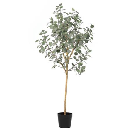 ARTIFICIAL PLANT SPRING EUCALYPTUS 178CM [EXCLUSIVE FROM HOMEPRO THAILAND]