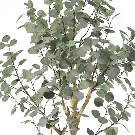 ARTIFICIAL PLANT SPRING EUCALYPTUS 178CM [EXCLUSIVE FROM HOMEPRO THAILAND]