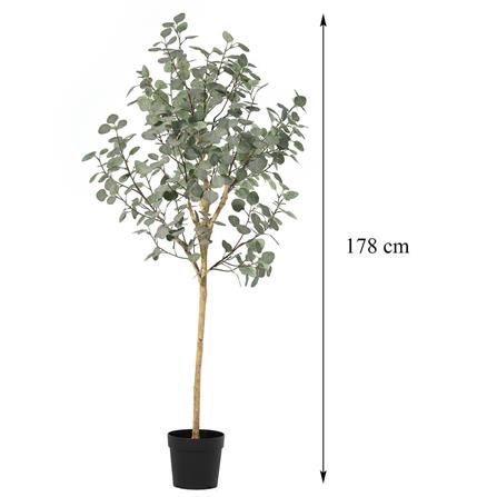 ARTIFICIAL PLANT SPRING EUCALYPTUS 178CM [EXCLUSIVE FROM HOMEPRO THAILAND]