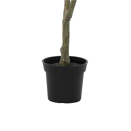 ARTIFICIAL PLANT SPRING OLIVE TREE 122CM [EXCLUSIVE FROM HOMEPRO THAILAND]