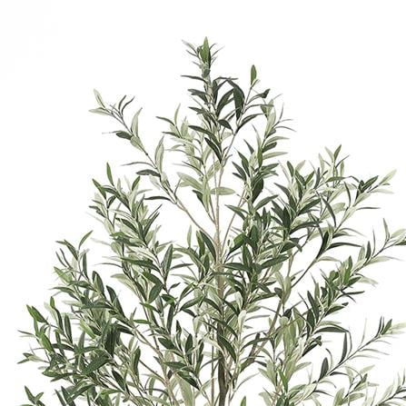 ARTIFICIAL PLANT SPRING OLIVE TREE 169CM [EXCLUSIVE FROM HOMEPRO THAILAND]