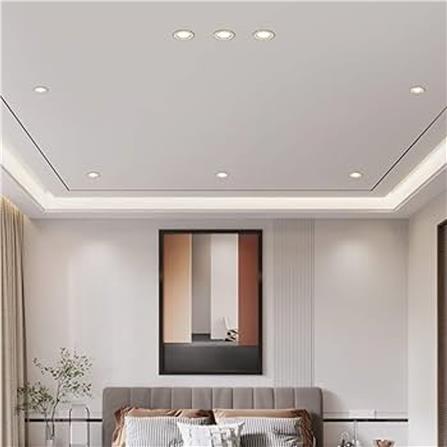 PHILIPS  DOWNLIGHT ERIDANI RD SURFACE LED18 D220 22W 865 8" DAY LIGHT