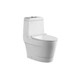 AKRON 1P TOILET WCO-732/S S-TRAP 300MM