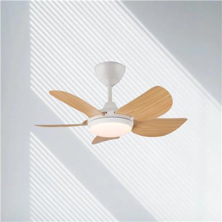 RIEGEN CEILING FAN LED RCF-MINI30-5BL-PW 30-INCH PINE WOOD