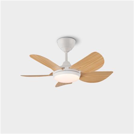RIEGEN CEILING FAN LED RCF-MINI30-5BL-PW 30-INCH PINE WOOD