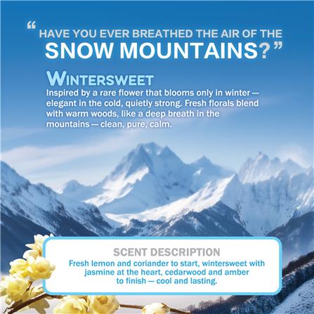 VANZO SMART CAR DIFFUSER REFILL WINTER SWEET 100ML