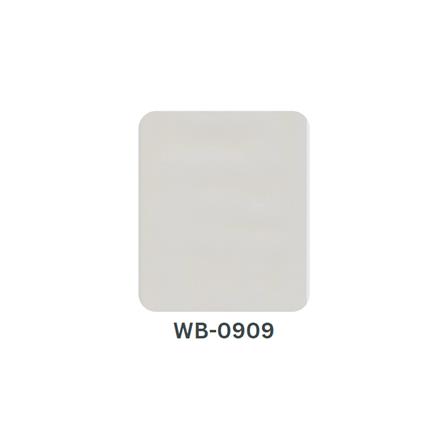 ECOCLASS WOOD VENTURE BOARD WB-0909 300X120 3.6M2