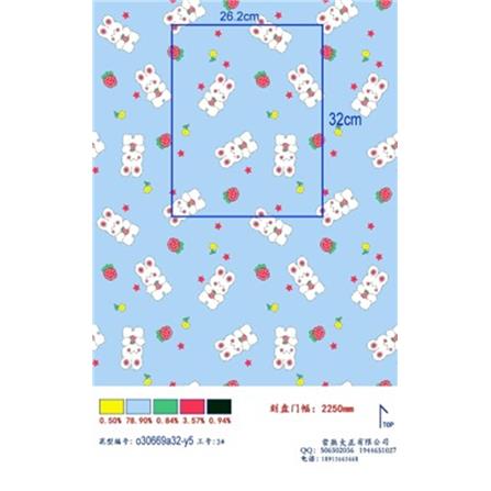 HLS FLEECE BLANKET 50X60 CSLW11 BEAR BLUE