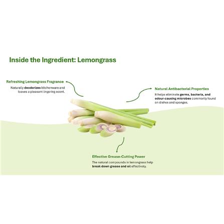 FAB DISHWASHING LIQUID SALT & LEMONGRASS 1L