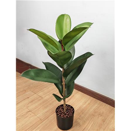 CL FICUS ELASTICA TREE 73CM GP620