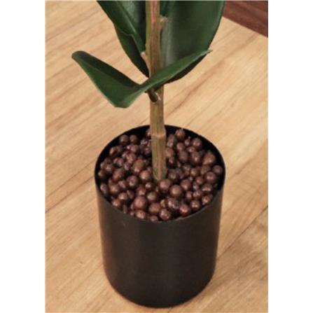 CL FICUS ELASTICA TREE 73CM GP620