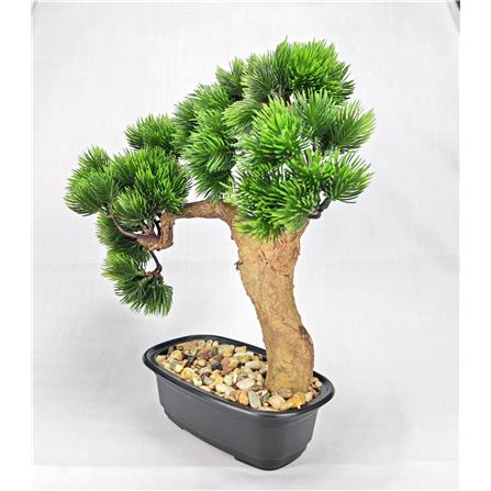 CL BONSAI BEAUTY PINE POTTED 32CM GP550