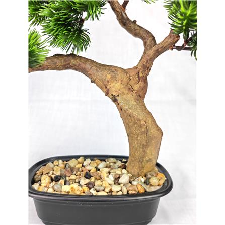 CL BONSAI CYPRESS POTTED 45CM GP551