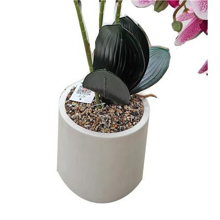CL ARTIFICIAL ORCHID POT GF311 (3 STALK 21 HEAD)