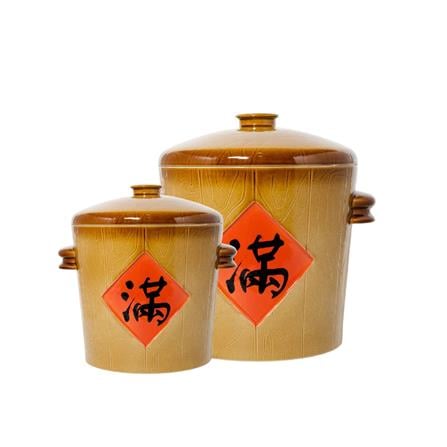 CLAYTAN RICE CONTAINER WITH LID 5KG - WMA 91