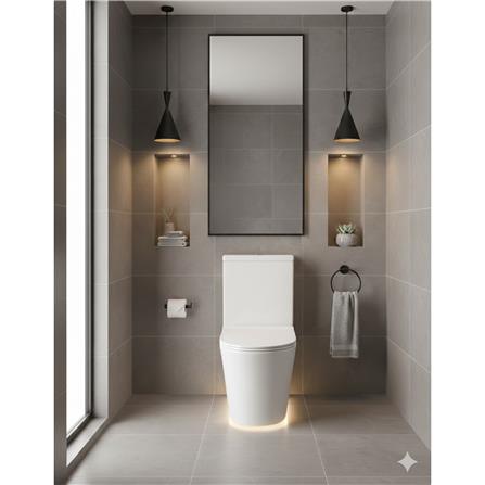 JOHNSON SUISSE TREVISO RIMLESS 2P TOILET WBSC950157WW S-TRAP 250MM