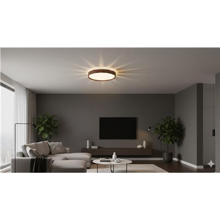 BRIGHT OBJECTIVE CEILING LAMP 16872-500 DARK BRWN 50CM