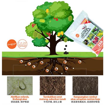 MR GANICK 258 ORGANIC FRUIT FERTILIZER 400G