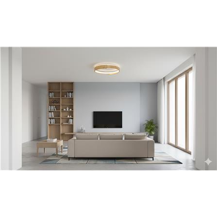 BRIGHT OBJECTIVE CEILING LAMP 16871-500 BROWN WHITE 50CM